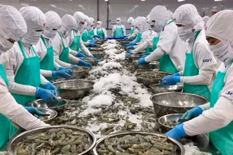 Tôm là một trong những mặt hàng thủy sản xuất khẩu quan trọng của Việt Nam sang Mỹ.