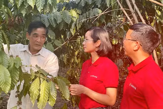 Ông Nguyễn Văn Thành (thôn Ngọc Thư, xã Đắk Xú, huyện Ngọc Hồi, tỉnh Kon Tum) vay vốn Agribank để phát triển kinh tế.