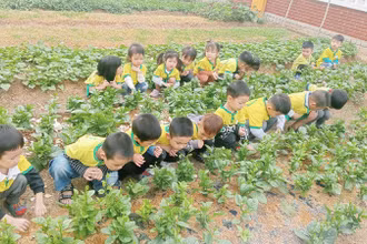 Một giờ học tại Trường mầm non Quang Châu (huyện Việt Yên, Bắc Giang). (Ảnh: ĐỨC GIANG)