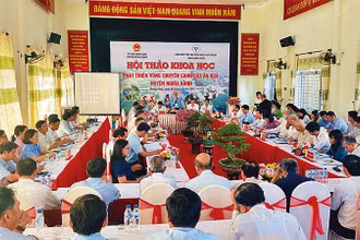 Hội thảo tìm kiếm giải pháp mới để phát triển vùng chuyên canh cây ăn quả huyện Nghĩa Hành.