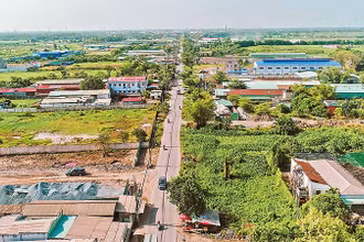 Thuế chuyển mục đích đất tại huyện Củ Chi dự kiến sẽ tăng cao. 