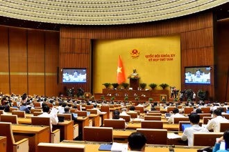 Phiên họp Quốc hội sáng 8/11. (Ảnh MỸ HÀ)