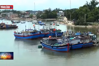 Nỗ lực chống đánh bắt thủy hải sản bất hợp pháp