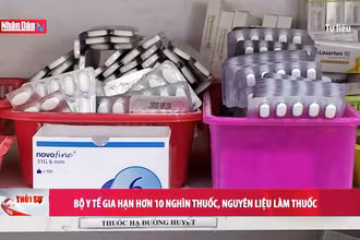 Bộ Y tế gia hạn hơn 10 nghìn thuốc, nguyên liệu làm thuốc