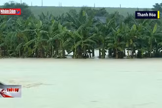 Mưa lũ gây thiệt hại cho người dân miền Trung