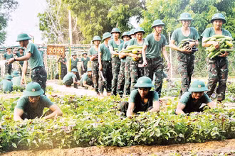 Các chiến sĩ lực lượng vũ trang trong Khối Thi đua quân sự địa phương Quân khu 7 tăng gia sản xuất. (Ảnh Quân khu 7)