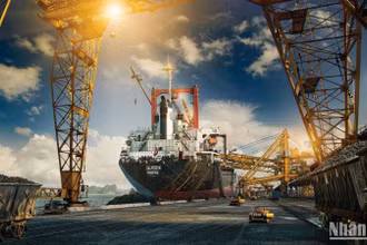 Công ty Tuyển than Cửa Ông (TKV) bốc xúc than cho các hộ tiêu thụ.