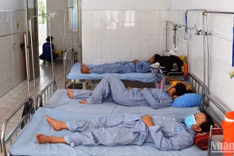 Bệnh nhân sốt xuất huyết điều trị tại Khoa Nhiễm của Bệnh viện Đa khoa Đồng Tháp (ảnh tư liệu).