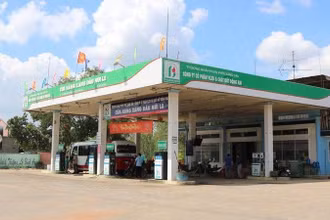 (Ảnh minh họa)