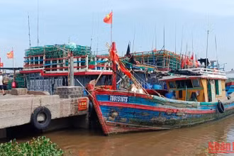 Tàu, thuyền vào neo đậu tại cảng cá cửa Lân, xã Nam Thịnh, huyện Tiền Hải (tỉnh Thái Bình).
