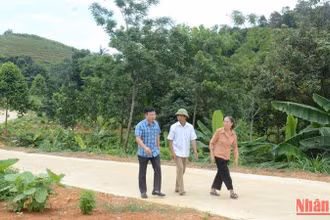 Hàng chục km đường bê-tông đã kết nối giao thông giữa các thôn xóm ở xã miền núi Khánh Thượng, huyện Ba Vì.