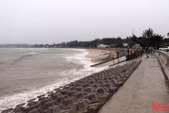 Công trình kè chống sạt lở bờ biển xã Bình Hải, huyện Bình Sơn phát huy hiệu quả trong cơn bão số 4, bảo vệ nhà dân trước sóng lớn.