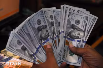 Đồng 100 USD. (Ảnh: AFP/TTXVN)