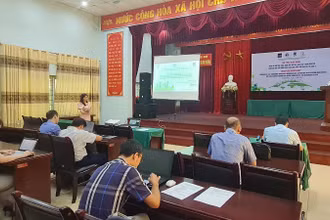 Toàn cảnh Hội thảo.