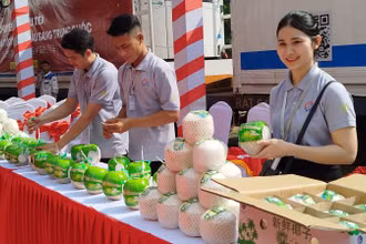 Sản phẩm dừa tươi được xuất khẩu chính ngạch sang Trung Quốc. 