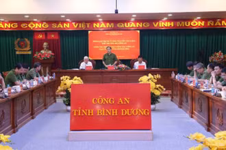Toàn cảnh buổi làm việc. 