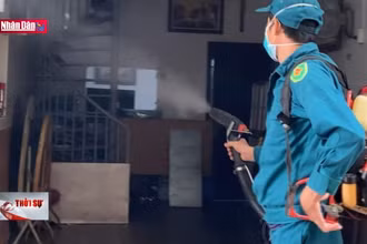 Phòng chống sốt xuất huyết trong các khu dân cư cũ tại Hà Nội