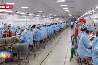 Cơ hội hợp tác với doanh nghiệp Hàn Quốc về lĩnh vực điện tử, quang tử
