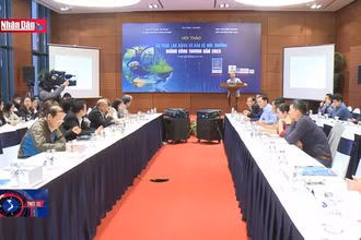 Nâng cao hiệu lực, hiệu quả công tác bảo vệ môi trường