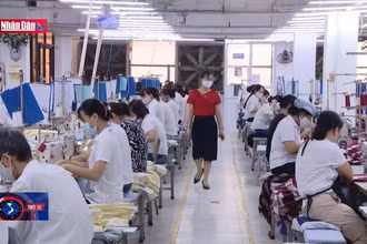 Tăng lương cơ sở lên mức 1,8 triệu đồng/tháng từ ngày 1/7/2023