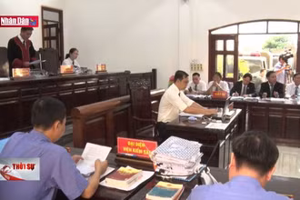 Xét xử nguyên Giám đốc Sở Tài nguyên và Môi trường tỉnh Đồng Nai cùng 12 đồng phạm