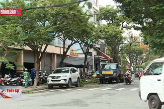 Khẩn trương triển khai phương án phòng, chống thiên tai