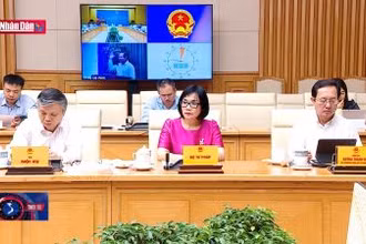 Thường trực Chính phủ làm việc với TP HCM triển khai Nghị quyết 98 của Quốc hội