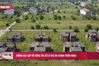 Đồng Nai lập tổ công tác xử lý dự án chậm triển khai