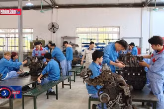 Lớp 10 công lập không phải là con đường duy nhất