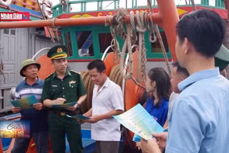 Xử lý dứt điểm vi phạm về khai thác hải sản bất hợp pháp