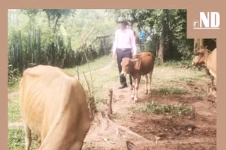 Chủ trương lớn, mang ý nghĩa thiết thực