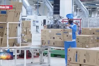 Đề xuất bắt buộc xếp hạng tín nhiệm trái phiếu doanh nghiệp