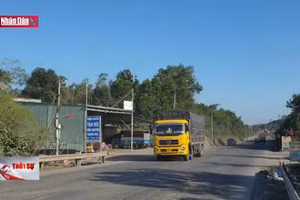 Người dân sống khổ vì dự án chậm triển khai