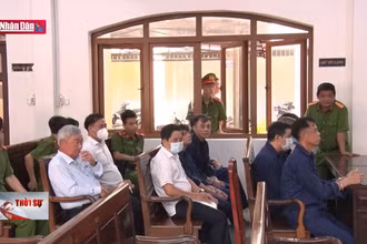 Xét xử nguyên Giám đốc Sở Tài nguyên và Môi trường Đồng Nai cùng đồng phạm
