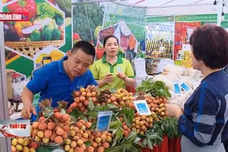 Tiêu thụ nông sản: Khai thác bền vững thị trường nội địa