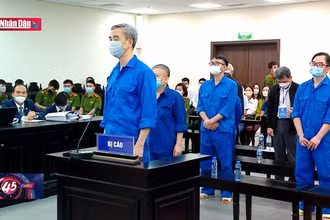 Cựu Giám đốc Bệnh viện Tim Hà Nội có lỗi cao nhất
