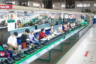 Lương tối thiểu vùng 2024 làm sao để hài hòa lợi ích lao động và doanh nghiệp