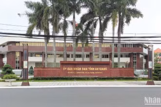 Ủy ban nhân dân tỉnh thành lập Ban chỉ đạo tập trung thực hiện kết luận của Thanh tra Chính phủ