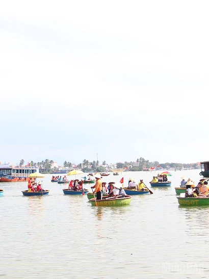 Rừng dừa Bảy Mẫu Cẩm Thanh với hình ảnh du lịch sinh thái sông nước đặc trưng.