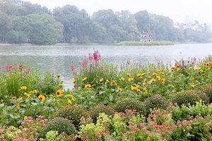 [Video] Thời tiết những ngày diễn ra Đại hội đại biểu toàn quốc lần thứ XIV của Đảng 