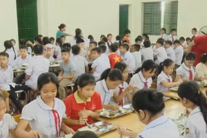 [Video] TP Hồ Chí Minh: Rà soát toàn diện việc tổ chức, cung cấp bữa ăn học đường