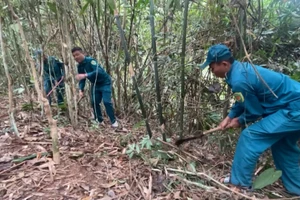 [Video] Nhiều địa phương bước vào mùa “phòng, chống cháy rừng”