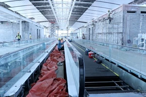 [Video] Hơn 15 nghìn công nhân thi công sân bay Long Thành xuyên Tết Dương lịch