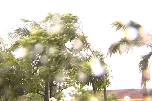 [Video] Bão năm 2026 có thể ít hơn, nhưng khó dự báo