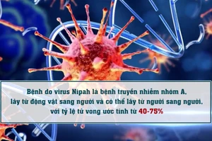 [Video] Phòng, chống dịch bệnh do virus Nipah ngay tại các cửa khẩu