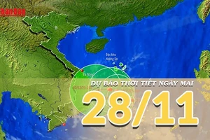 [Video] Dự báo thời tiết đêm nay và ngày mai 28/11/2025: Bão số 15 di chuyển chậm