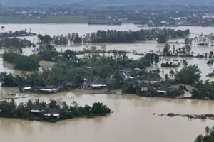 [Video] Khẩn trương hỗ trợ người nộp thuế bị thiệt hại do bão lũ