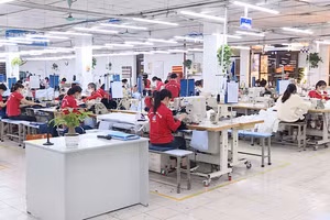 [Video] Hoàn thành kế hoạch cơ cấu lại vốn nhà nước tại doanh nghiệp trước ngày 31/8/2026