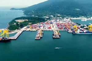 [Video] Logistics Việt Nam trong hành trình “xanh hóa” toàn cầu