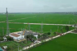 [Video] Từ năm 2027, người dân có thể lựa chọn nơi mua điện, giá theo thỏa thuận